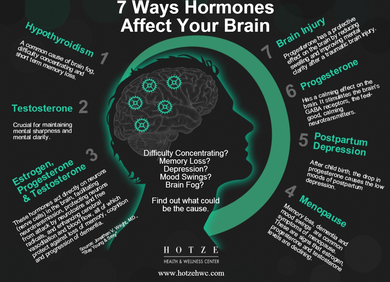 7 Ways Hormones Affect Brain Health