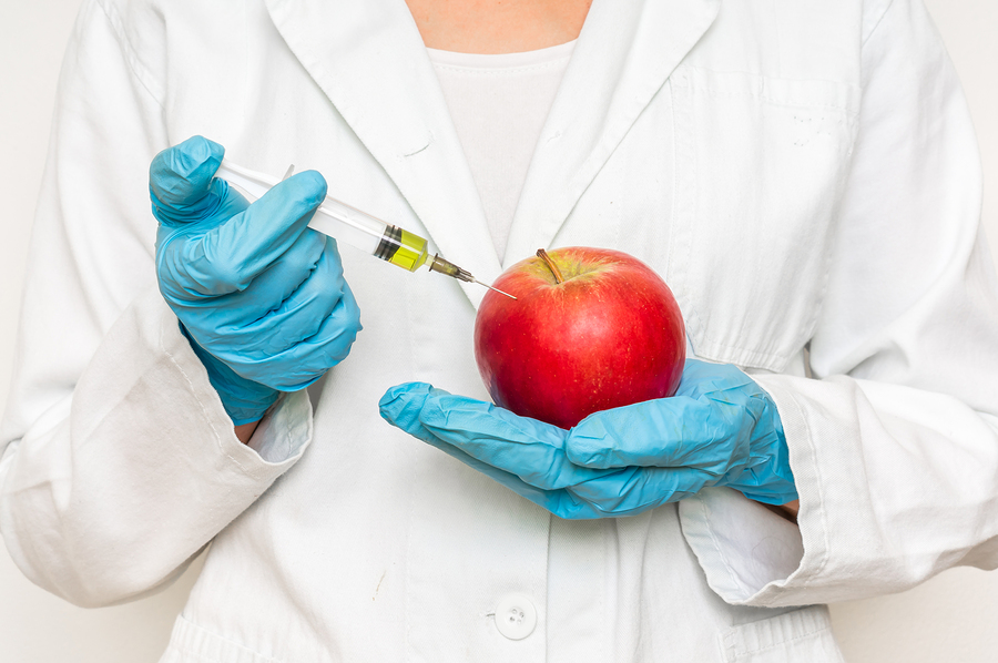Dangers of Genetically Modified Foods 