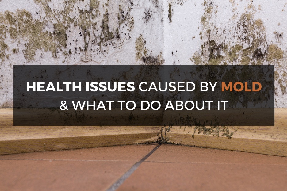 Health Problems Caused by Mold…and What to Do About It