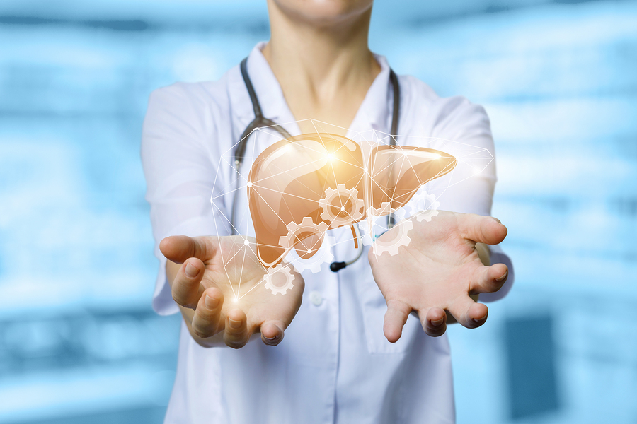 How Your Liver Function Affects Your Health and Hormone Balance