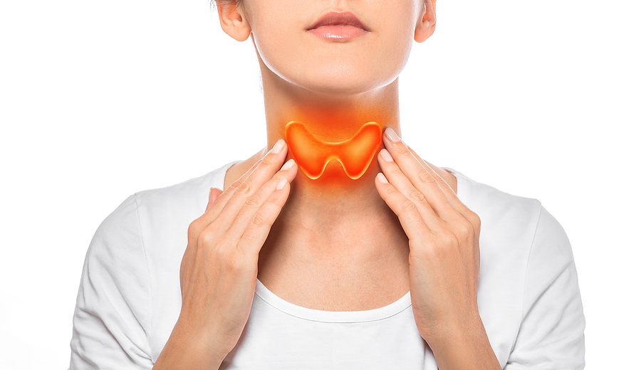 showing where thyroid gland is on woman's neck