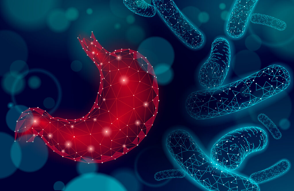 Human stomach microscope 3D low poly render probiotics. Healthy normal digestion flora of human intestine