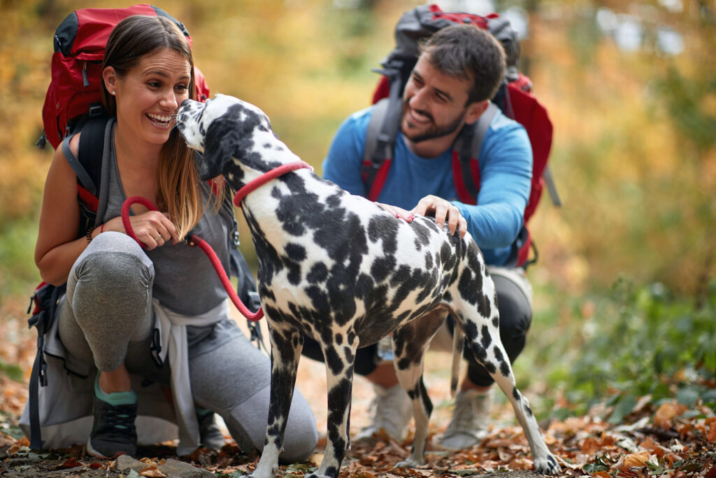 Cheerful hormonally balanced man and woman hiking and enjoying with dog