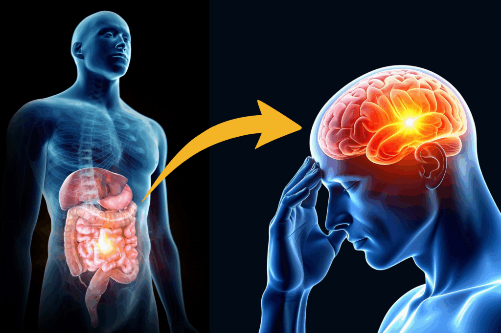 3d rendering of both gut and brain with arrow signifying gut-brain axis explained.
