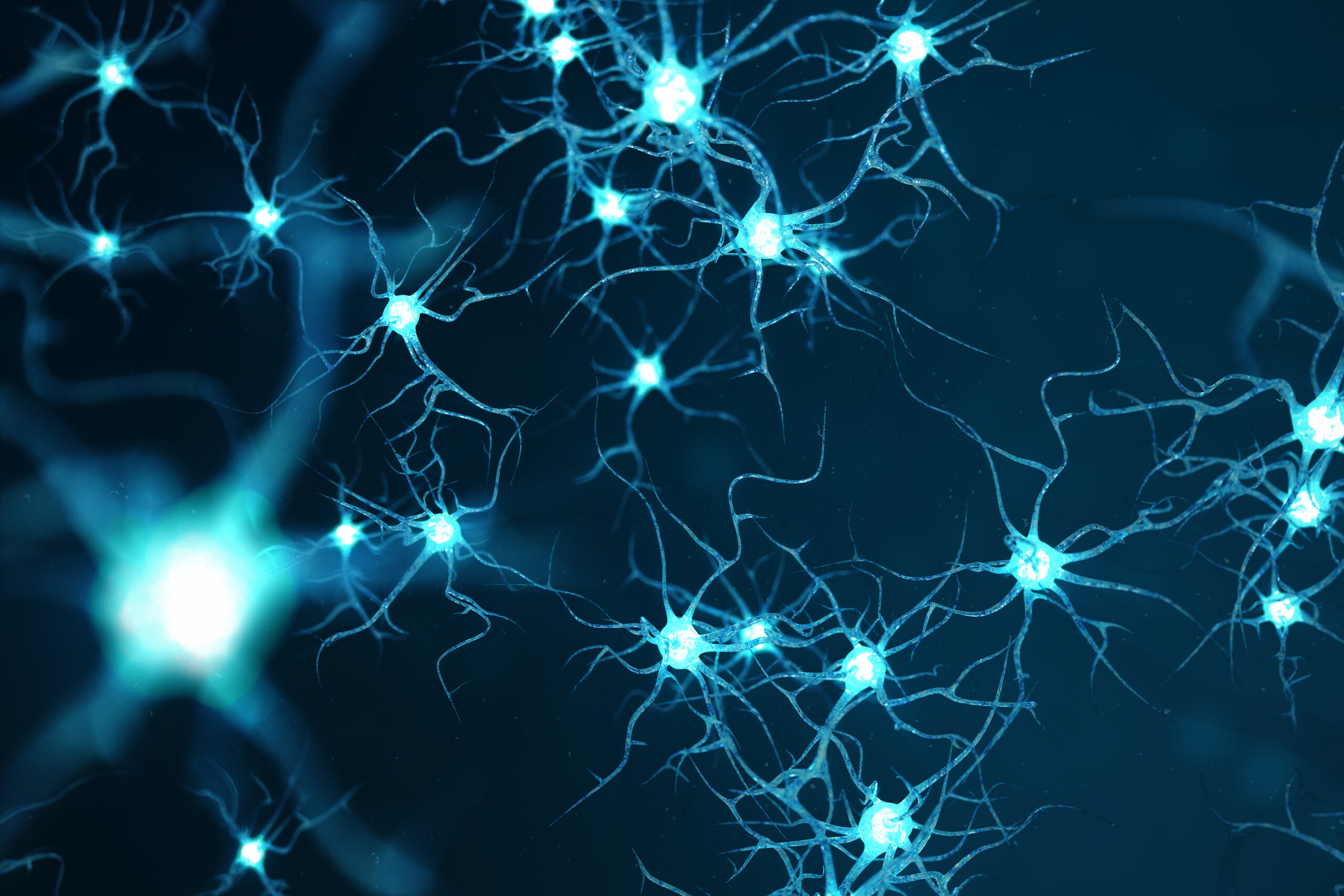 Hormones and Neuroprotection Research: 4 Key Insights
